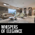 Whispers of Elegance